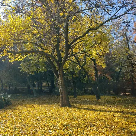 Area Park Carol *
